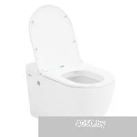 Abber Bequem AC1108P-AC0101P (с импульсным смывом)