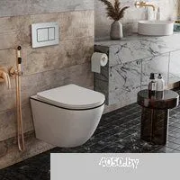 Roxen Antares Black в комплекте с инсталляцией StounFix Dual Fresh 6 в 1 968427 (кнопка: сатин)