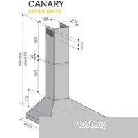 Konigin Canary Ivory 50