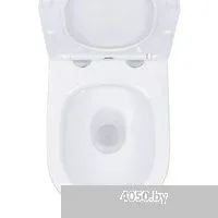 Roxen Antares в комплекте с инсталляцией StounFix Dual Fresh 6 в 1 968451 (кнопка: брашированное зол