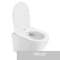 Abber Bequem AC1100T-AC0105-AC0121NG (с кнопкой смыва)