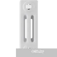 Royal Thermo Insignia C3030 - 42 секций RAL9016