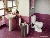 Унитаз Rosa Лира черный