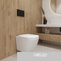 Lauter Vortex 2110830 + GROHE Rapid SL 38772001 с кнопкой (прямоугольная, хром)