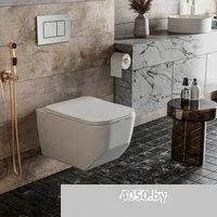 Roxen Boro в комплекте с инсталляцией StounFix Dual Fresh 6 в 1 968433 (кнопка: сатин)