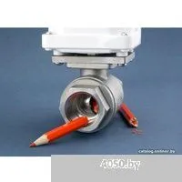 Gidrolock Winner Radio Bonomi 1/2