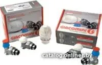 Giacomini Комплект термостатический R470FX003