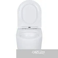 Roxen Antares в комплекте с инсталляцией Asten Readle Zentralmodul AR0601-185CH с кнопкой (хром глян