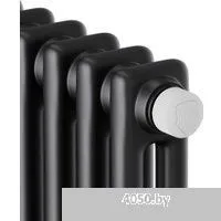 Royal Thermo Insignia VC2180 - 10 секций RAL9005m