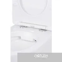 Roxen Antares в комплекте с инсталляцией Asten Readle Zentralmodul AR0601-185B с черной матовой кноп