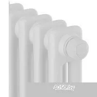 Royal Thermo Insignia VC2180 - 04 секций RAL9016