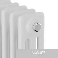 Royal Thermo Insignia C3050 - 22 секций RAL9016