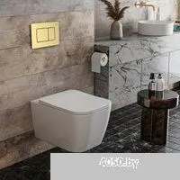 Roxen Cube в комплекте с инсталляцией StounFix Dual Fresh 6 в 1 968469 (кнопка: брашированное золото