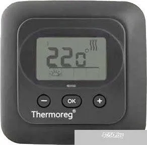 Терморегулятор Thermoreg TI 900