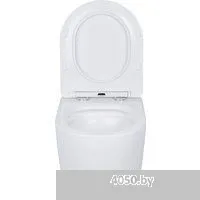 Roxen Antares в комплекте с инсталляцией Asten Readle Zentralmodul AR0601-185CH с кнопкой (хром глян