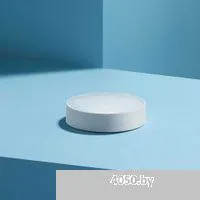 Xiaomi Mijia Light Sensor GZCGQ01LM (китайская версия)