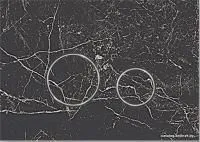 Lavinia Boho Relfix 38050902 (greek black)