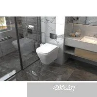 Abber Rechteck AC1201-AC0105-AC0121NG (с кнопкой смыва)