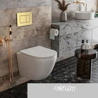 Roxen Antares в комплекте с инсталляцией StounFix Dual Fresh 6 в 1 968451 (кнопка: брашированное зол