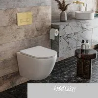 Roxen Antares в комплекте с инсталляцией StounFix Dual Fresh 6 в 1 968049 (кнопка: брашированное зол