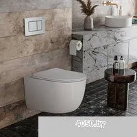 Roxen Vortex в комплекте с инсталляцией StounFix Dual Fresh 6 в 1 968489 (кнопка: сатин)