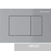 Asten Readle Zentralmodul AR0601-135M