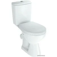 Rosa Уют (белый)