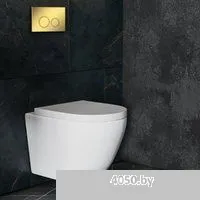 Roxen Antares в комплекте с инсталляцией StounFix Dual Fresh 6 в 1 968011 (кнопка: золото глянцевое