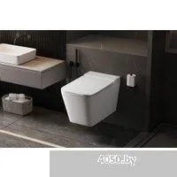 Abber Bequem AC1202P-AC0101P (с импульсным смывом)