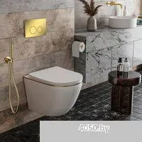 Roxen Antares Gold в комплекте с инсталляцией StounFix Dual Fresh 6 в 1 968092 (кнопка: золото глянц