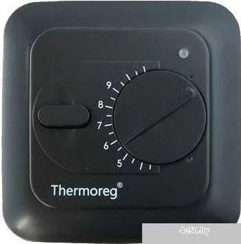 Терморегулятор Thermoreg TI 200