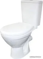 Унитаз Rosa Соло