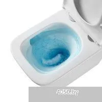 Roxen Cube Tornado Bidet в комплекте с инсталляцией StounFix Dual Fresh 6 в 1 868496 (кнопка: черный