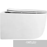 Roxen Vortex в комплекте с инсталляцией StounFix Dual Fresh 6 в 1 968489 (кнопка: сатин)