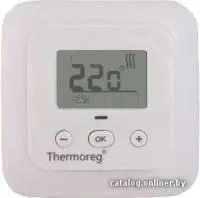 Терморегулятор Thermoreg TI 900