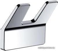 IDDIS Slide SLISC20i41