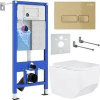 Roxen Boro в комплекте с инсталляцией StounFix Dual Fresh 6 в 1 968081 (кнопка: брашированное золото