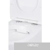 Roxen Antares в комплекте с инсталляцией Asten Readle Zentralmodul AR0601-185W с белой кнопкой