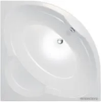 Triton Мартин 120х120 (с каркасом, сифоном, экраном)