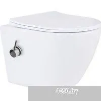 Roxen Antares Bidet в комплекте с инсталляцией StounFix Dual Fresh 6 в 1 968099 (кнопка: брашированн