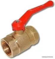 Цветлит ZW10117