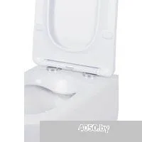 Roxen Boro в комплекте с инсталляцией StounFix Dual Fresh 6 в 1 968433 (кнопка: сатин)