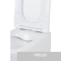 Roxen Boro в комплекте с инсталляцией StounFix Dual Fresh 6 в 1 968466 (кнопка: брашированное золото