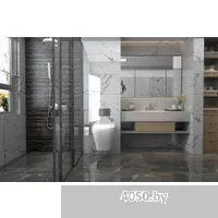 Abber Rechteck AC1201-AC0105-AC0121NG (с кнопкой смыва)