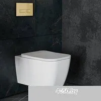 Roxen Сube в комплекте с инсталляцией StounFix Dual Fresh 6 в 1 968065 (кнопка: брашированное золото