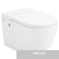 Abber Bequem AC1108P-AC0101P (с импульсным смывом)