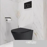 Lauter Longer 2110822 + 21901002 (кнопка квадратная, черный/черный)