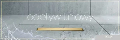 Трап/канал Rea Pure Neo Pro 800 N (золотой)