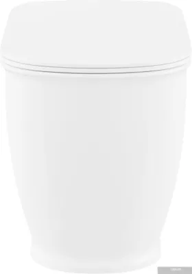 Унитаз Lavinia Boho Relfix Bell Pro 5 в 1 87060208 (черный пластик)