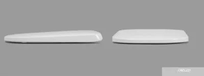 Унитаз Roca The Gap с пневмокрышкой 342477000+34147000Y+801472001